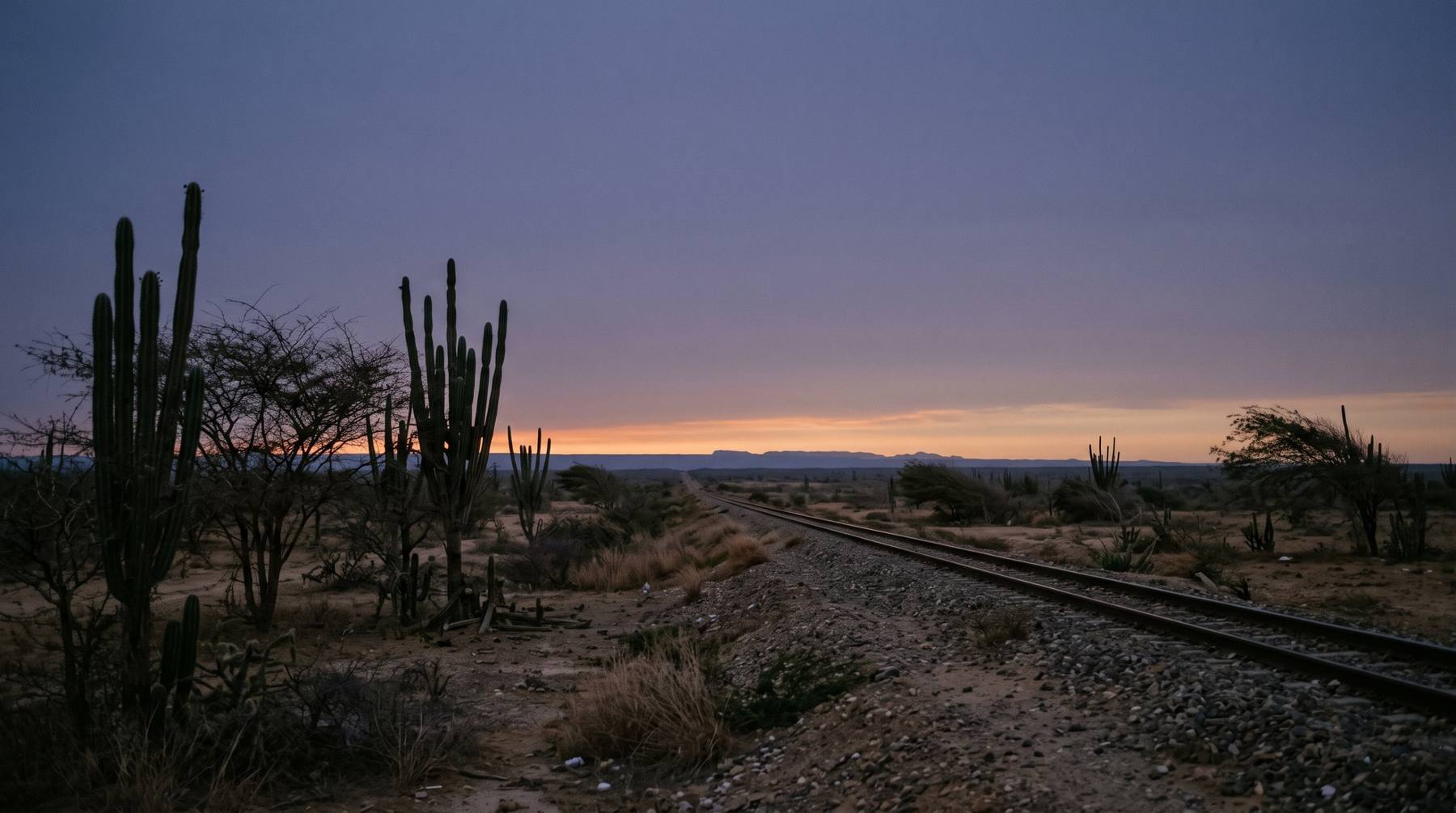 Línea férrea que cruza una llanura semidesértica con cardones al atardecer